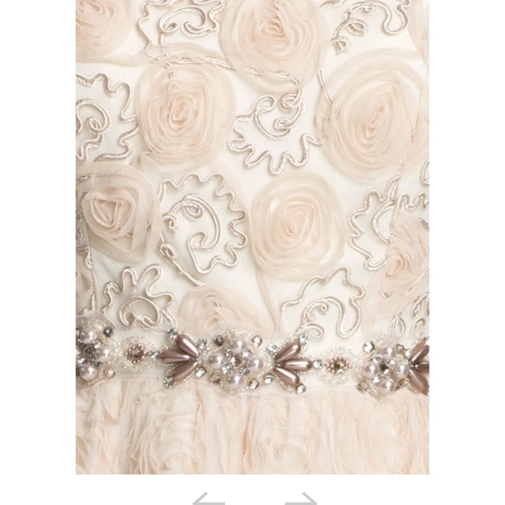 Adrianna Papell strapless rosette ball Gown - Picture 4 of 16